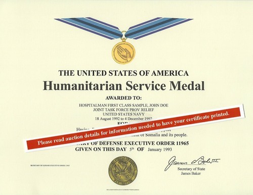 Hurmanitarian service medal - hurmanitarian,